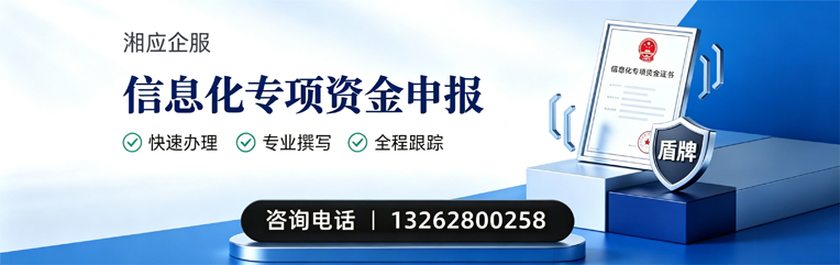 眉山信息化专项资金申报服务