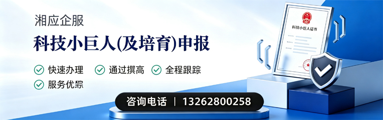 眉山科技小巨人及培育企业申报服务