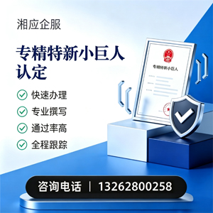 眉山专精特新小巨人申报服务