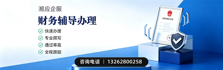 眉山财务辅导申请服务
