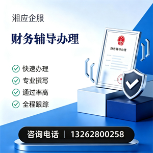 眉山财务辅导申请服务