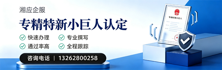 眉山专精特新小巨人申报服务